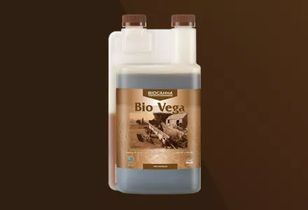 Bio Vega