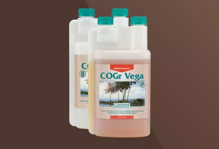 CANNA COGr Vega